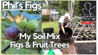 My Soil Mix for Figs amp Fruit Trees Effective and Simple [upl. by Groves]