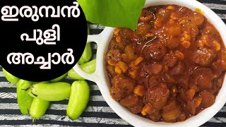 ഇരുമ്പൻ പുളി അച്ചാർ Irumban Puli Achar Bilimbi Pickle Cooking Story Story 43 [upl. by Eadie258]