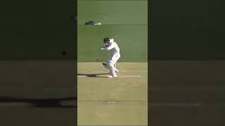 Kohli Fieldings☠️🥶 shorts cricket sg viratkohli [upl. by Connors]