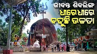 Special Story Discover the Majestic 18Foot Shiva Lingam of Bhuteshwar Nath in Chhattisgarh [upl. by Aseral]