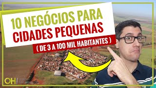 10 NEGÓCIOS PARA CIDADES PEQUENAS DE 3 A 100 MIL HABITANTES  EMPREENDA NEGÓCIOS LUCRATIVOS [upl. by Eelirem]