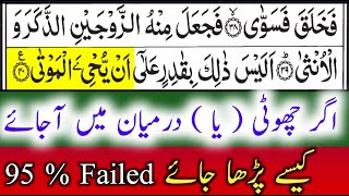 Small quot Yaa quot In Quran  How To Read quot Yaa quot  Tajweed Ul Quran  By Hafiz Muzzammil [upl. by Bills302]