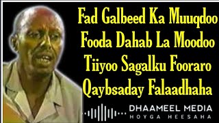 Heestii Fad Galbeed  Cumar Dhuule  Hees Qaraami Xul ah With Lyrics [upl. by Ydasahc]