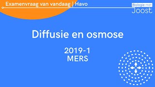 12 Examenvraag van vandaag  Havo  20191 MERS [upl. by Nagaet]