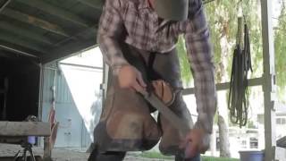 Blacksmith Buddy  UK distrubuted by Stromsholm Ltd  Farriers training device [upl. by Dahcir413]