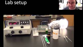 Investigation 5  photosynthesis AP biology [upl. by Llenet375]