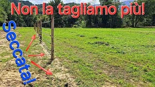 Così abbiamo definitivamente sconfitto la ricrescita delle erbacce  VLOG 08 [upl. by Noside]