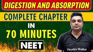 DIGESTION AND ABSORPTION in 70 minutes  Complete Chapter for NEET [upl. by Victoria]