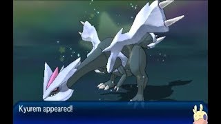 LIVE AMAZING SHINY KYUREM  FUSIONS 5220 SRS Ultra Moon [upl. by Tnahsin]