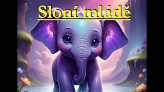 AUDIO POHÁDKA Sloní mládě a O staříku klokana kde se toho mooooc dozvíte 🫶 [upl. by Sherborne]