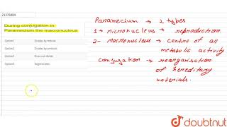 During conjugation in Paramecium the macronucleus [upl. by Rubin267]