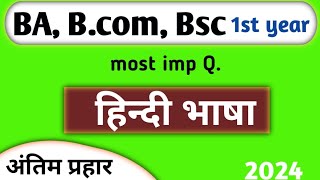 Ba bsc 1st year hindi important question 2024  hindi language imp questions [upl. by Eah]