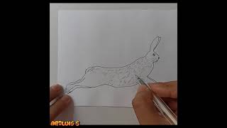 Cómo dibujar una LIEBRE  How to draw a HARE [upl. by Griseldis677]