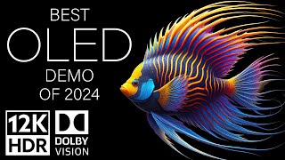 BEST OLED DEMO OF 2024  DOLBY VISION 12K HDR 120fps [upl. by Nyrrat]