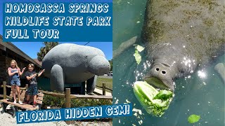 Florida HIDDEN GEM Homosassa Springs Wildlife State Park FULL TOUR [upl. by Naihr]