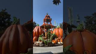 Knotts ScarySpooky Farm [upl. by Akinuahs]