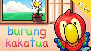 Lagu anak Indonesia  Burung Kakatua [upl. by Pebrook444]