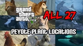 GTA 5  ALL 27 Peyote Plant Locations 50min video PS4  Xbox One [upl. by Anier929]