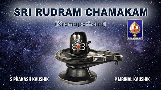 Sri Rudram Chamakam  S Prakash Kaushik amp P Mrinal Kaushik  Powerful Vedic Chants for Prosperity [upl. by Lebana807]