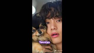 bts yeontan bts btsarmy army v dog taehyung [upl. by Anoid]