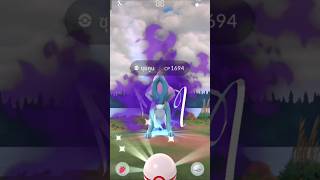 Catch Shadow Suicune  Pokémon GO ShadowSuicune PokémonGO shadowpokemon [upl. by Lubet]