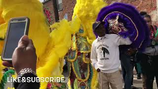 Creole Wild West Mardi Gras 2018 [upl. by Lemmy]