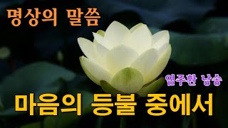 명상의말씀 🌳🌼 마음의 등불 중에서 🍂 엄주환 낭송 [upl. by Niall]