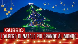 LAlbero di Natale di Gubbio il più grande al Mondo🎄🌟 [upl. by Aurora]