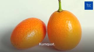 Correct Pronunciation Of Kumquat  2020 [upl. by Nomed288]