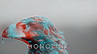 Monolink  The Prey Mind Against Remix [upl. by Leiuqeze746]