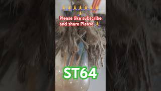 ST64 led filament bulb 💡 electrical electricaljob music electricalwork song shorts viralvideo [upl. by Zeeba103]