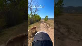 fall running in Colorado 😍 runner momfitness goldenretriever [upl. by Emeline]