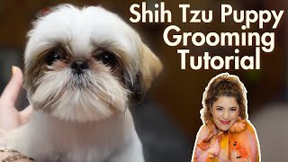 Adorable Shih Tzu Puppy Grooming Tutorial [upl. by Mathre374]