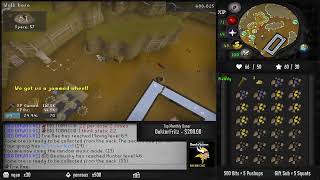 Barrows Gloves Grind  45 Lives  HCGIM [upl. by Hum]