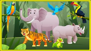 Learn Jungle Animals for Kids [upl. by Patton]