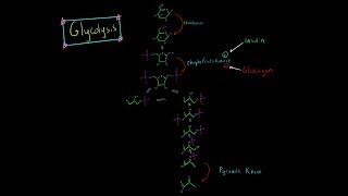 Glycolysis Pathway EVERYTHING YOU NEED TO KNOW BIOCHEMISTRY MCAT [upl. by Oinimreh923]