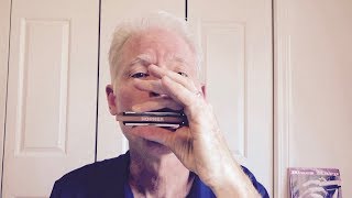 5 cool riffs for beginning blues harmonica players [upl. by Fe697]