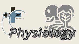 Types of nerve fibers  Erlanger and gasser classification  Physiology of nerves [upl. by Nylle]