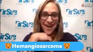 Hemangiosarcoma Live Q amp A [upl. by Ursal845]