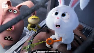 The Secret Life of Pets  Scary Snowball Scene  Fandango Family [upl. by Lramaj]