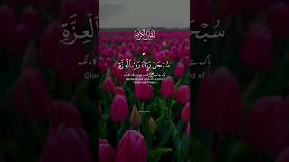 Beautiful recitation last three ayats of surah saffat quran beautifulrecitation shorts subscribe [upl. by Aihseit]