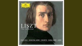 Liszt Années de pèlerinage III S 163 V Sunt lacrimae rerum En mode hongrois [upl. by Inavoig194]