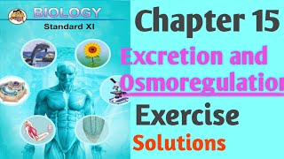 Chapter 15 Class 11 Excretion and Osmoregulation Exercise Solutions Maharashtra Board [upl. by Cos]