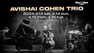 AVISHAI COHEN TRIO  BLUE NOTE TOKYO 2024 trailer [upl. by Yelda]