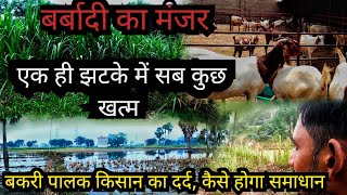 एक बकरी पालक का दर्द जो कोई नहीं दिखता  Goat farming in india  Goat farming in hindi bakrifarming [upl. by Galan]