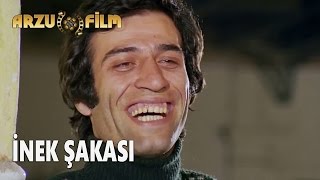 Hababam Sınıfı  İnek Şakası [upl. by Yrokcaz]