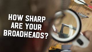 How to Sharpen Your Broadheads [upl. by Avril744]