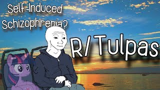 Self Induced Schizophrenia  rTulpas [upl. by Uttasta622]