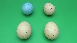 Surprise Toy Opening Game Find the Different Egg Birds Eggs [upl. by Malcom]