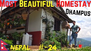 🇳🇵Nepals Most Beautiful Homestay  Dhampus Village Nepal  Best Homestay In Dhampus Pokhara  4K [upl. by Aryajay]